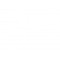 THE BLISS SOMMIER QUEEN