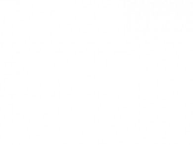 THE BLISS SOMMIER QUEEN